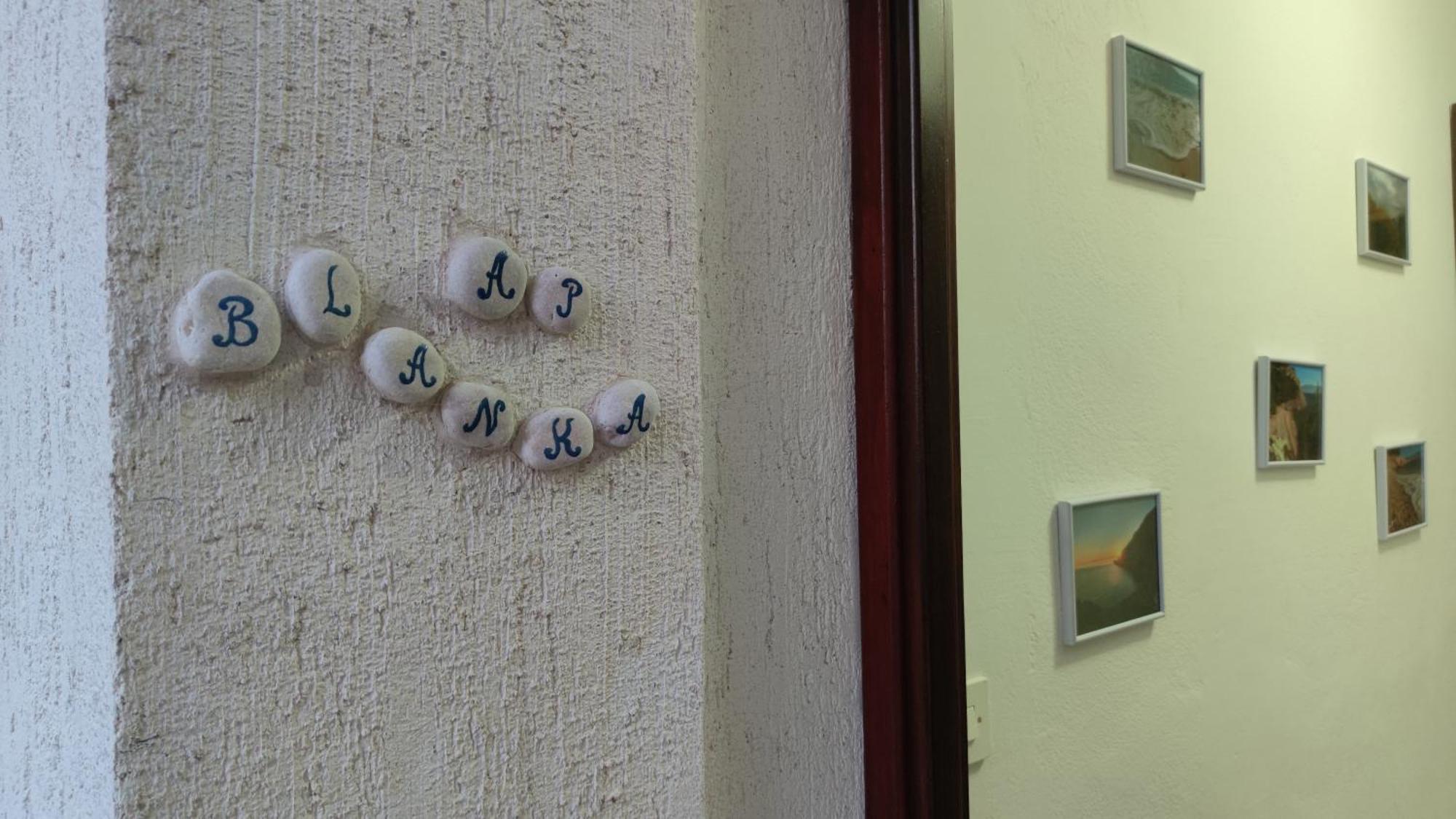 Apartments Tonkovic Kornić Dış mekan fotoğraf